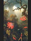 Martin Johnson Heade Two Hummingbirds Perched on Passion Flower Vines painting